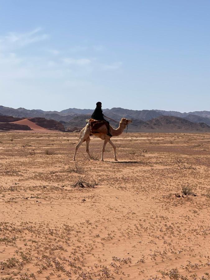 Wadi Rum Desert Camp Екстер'єр фото